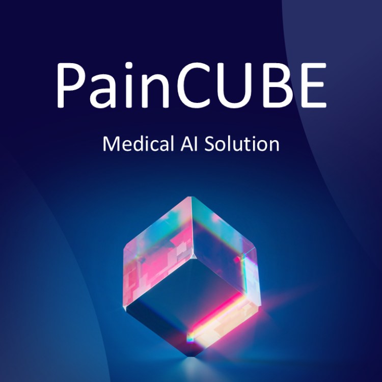 PainCube